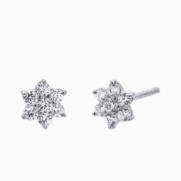 Adina Eden Jewelry - CZ Stone Flower Stud Earring 14K